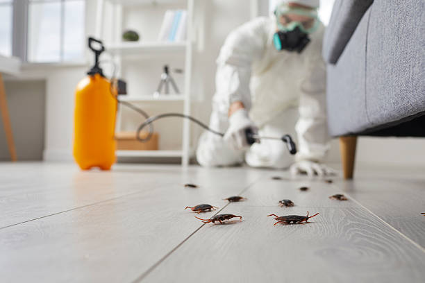 Commercial Kitchen Cockroach Control in Union Hall